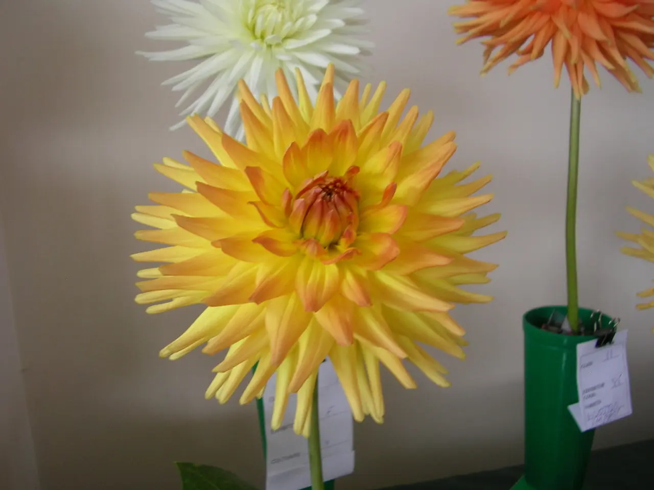 Create a DIY Flower Pot Decoration Using a Sharpie Marker in Three Straightforward Stages!