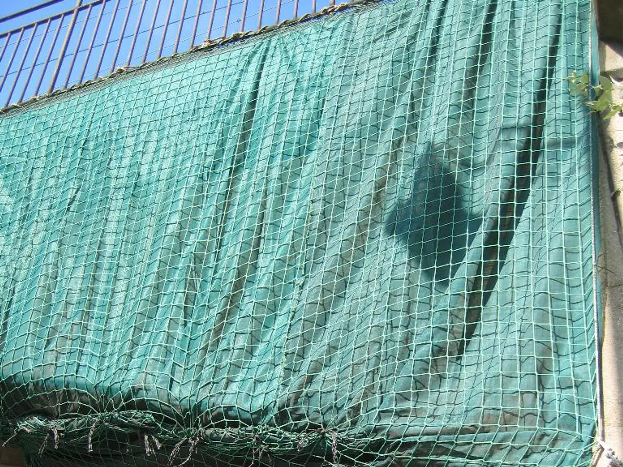 Advantages of Erecting a Timber Barrier on Your Landscape