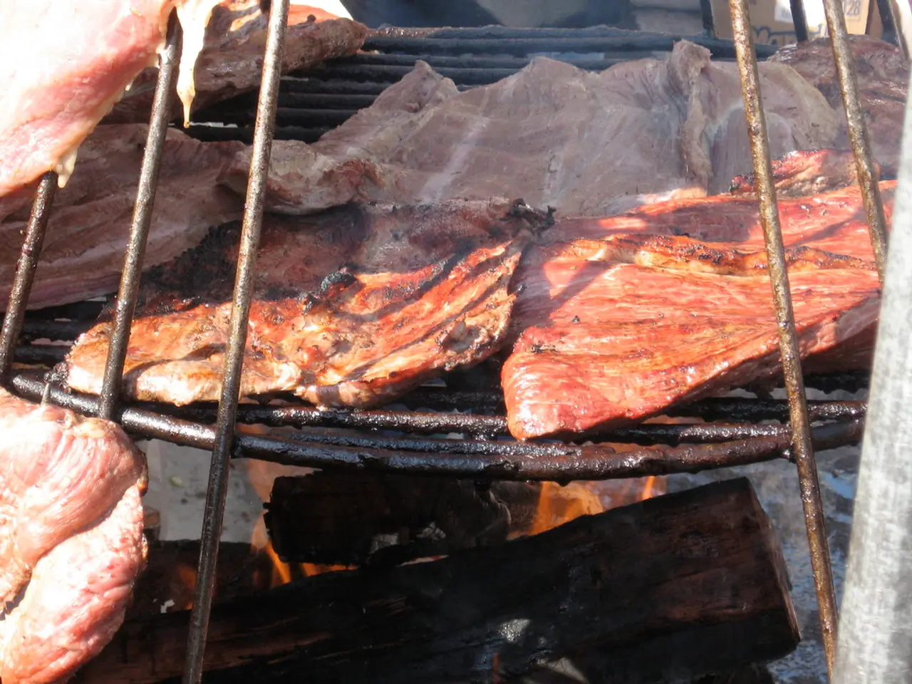 Pros and Cons of Utilizing Biomass Boilers