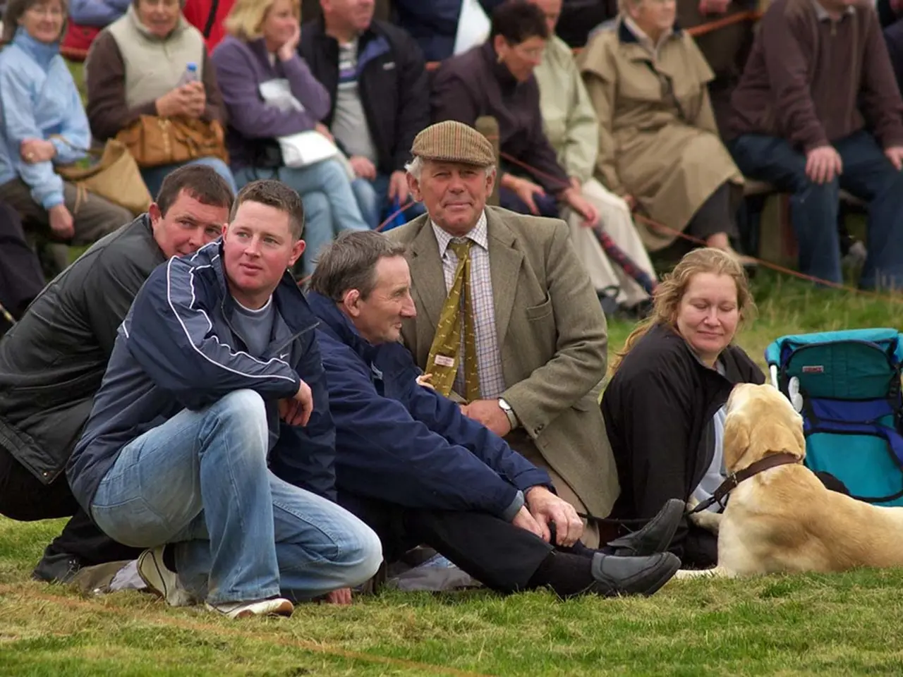 Public Dog Training: Steer Clear of These 3 Blunders to Ensure Calm Behavior in Public Spaces