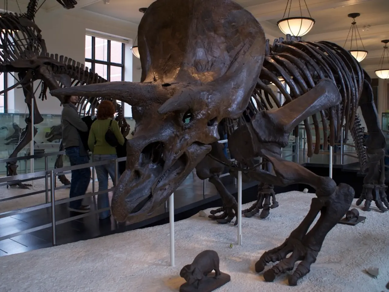 Crowds Flock to the Open House Event at the Natural History Museum