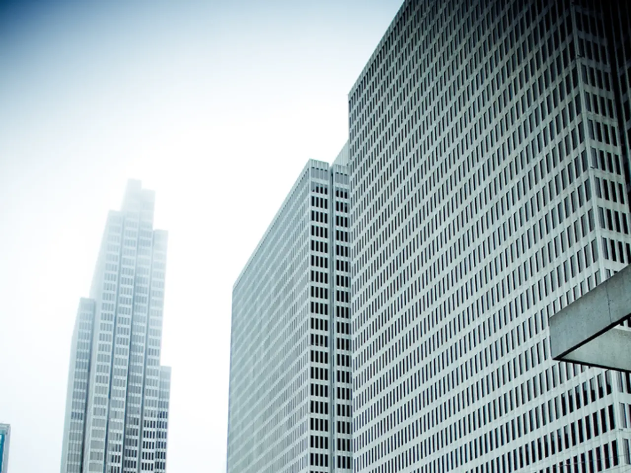 Ten thousand trees and vegetation will be planted along Architects Boulevard