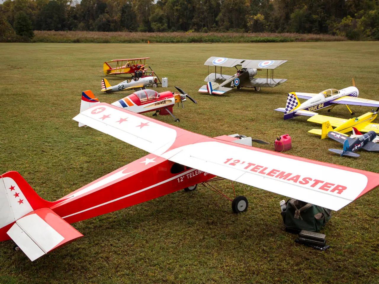 Düsseldorf faces a new wave of tree removal: 57 more trees to be felled due to illness or death