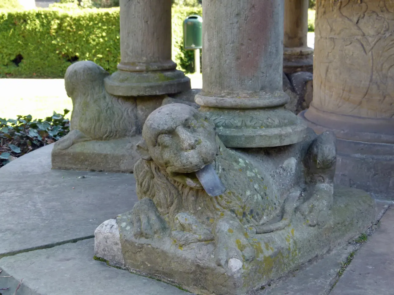 Lion cubs develop spots due to a unique law called melanism, a process that increases the...