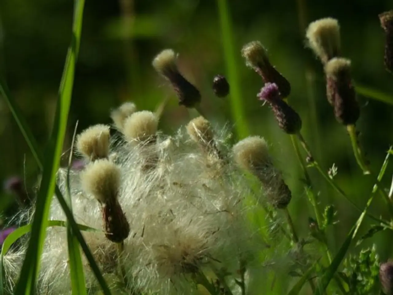 Insightful Details on Organic Agriculture and Its Products