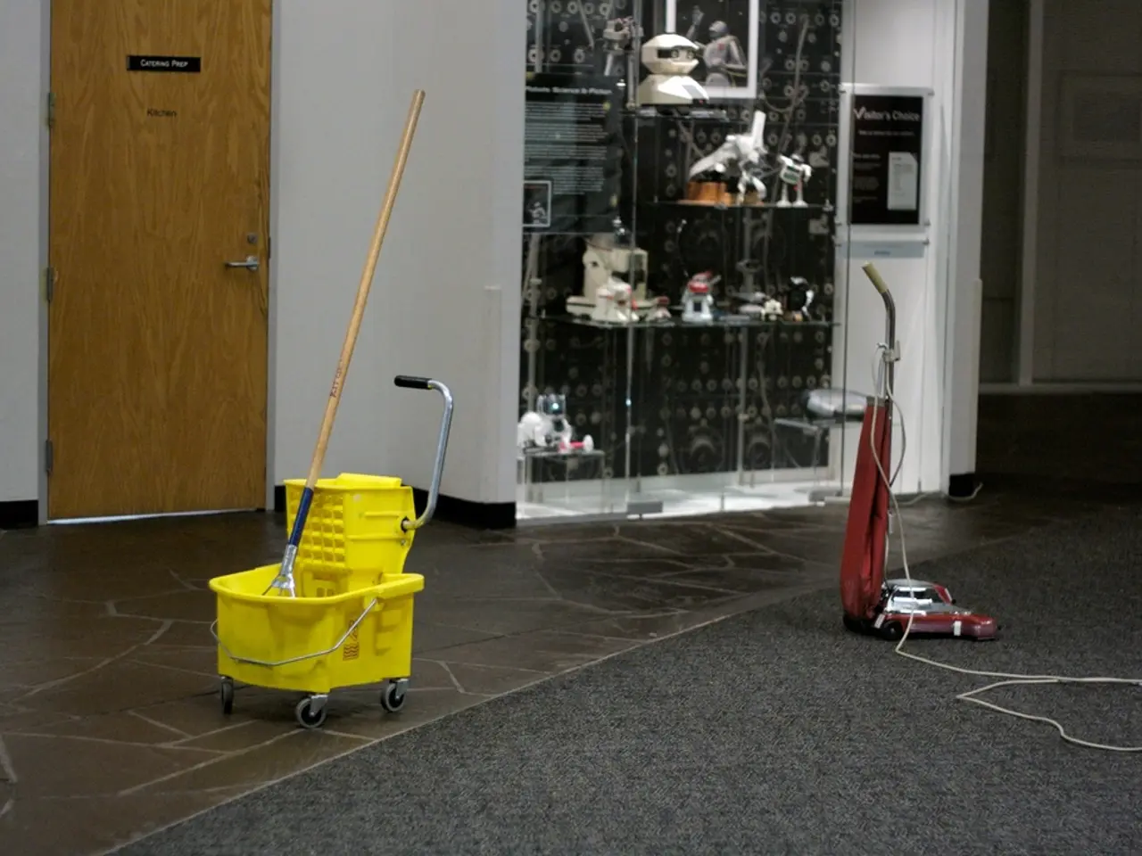 Exploring the Financial Implications of Professional Cleaning Services Upon Moving Out
