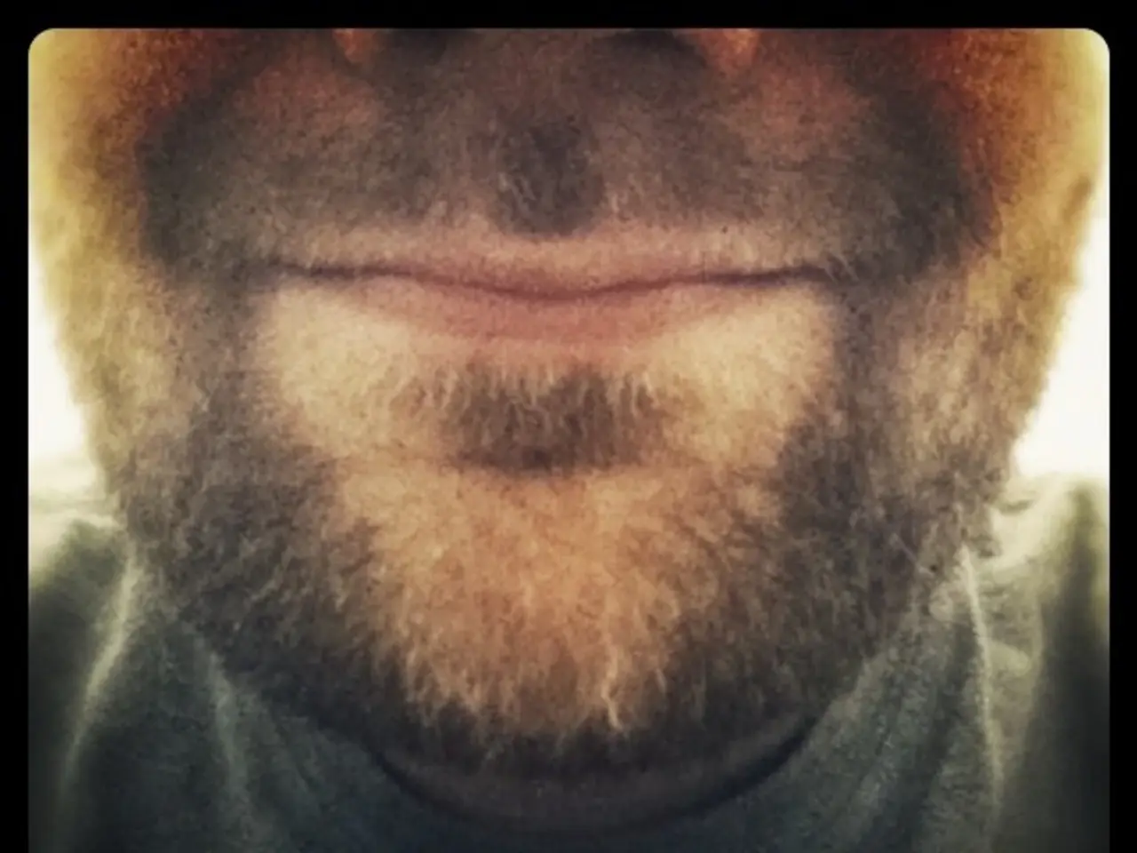 Top-tier Black Male Beard Care Products Evaluated