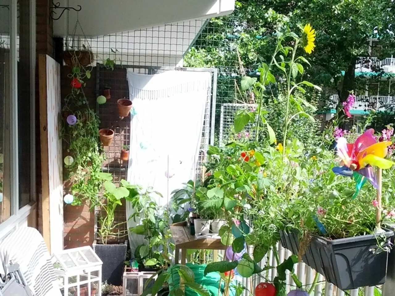 Gütersloher Couple's Enchanting Garden, a Romantic-Style Masterpiece, Showcased in OWL...