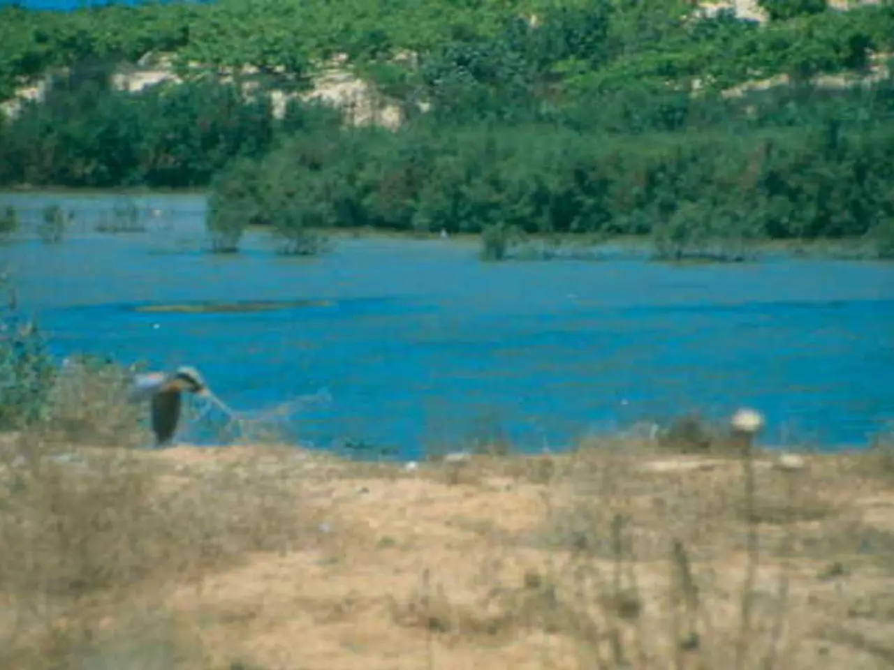 Embracing Ecological Responsibility