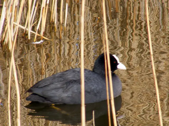 Most Irksome Gardening Weeds Landscaping Professionals Detest (With Methods for Prevention)