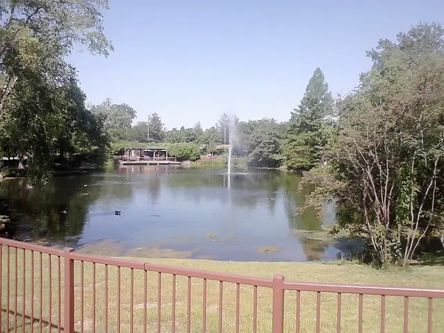 The Advantage of Constructing a Rain Garden in Your Yard (Benefitting Both You and the Earth)
