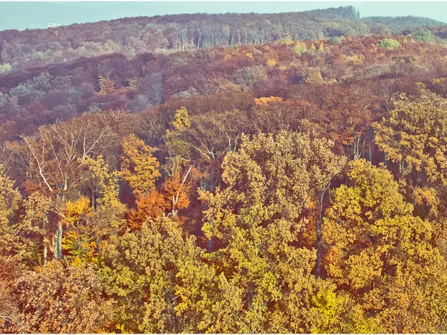 City intends to cultivate 280 fresh tree saplings.