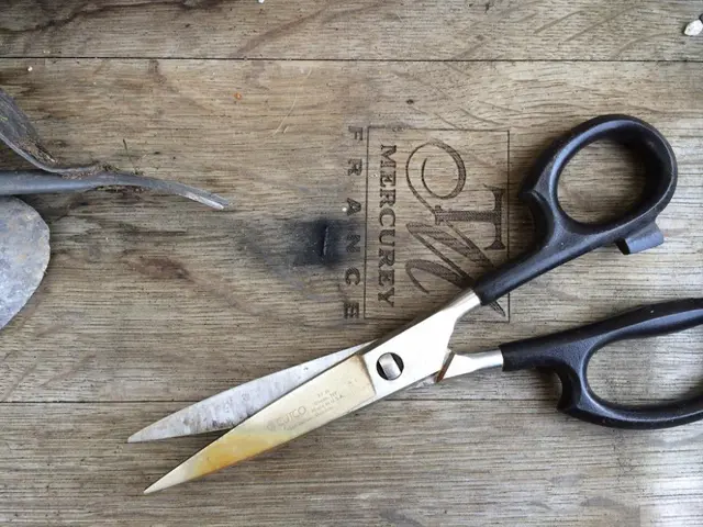 Garden tool comparison: Pruning shears versus scissors - while both are important for your garden,...