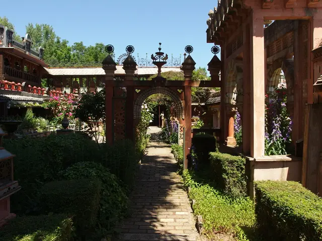 Fragrant Privacy Barriers for Outdoor Spaces: 6 plants that offer both odor and privacy for patios...