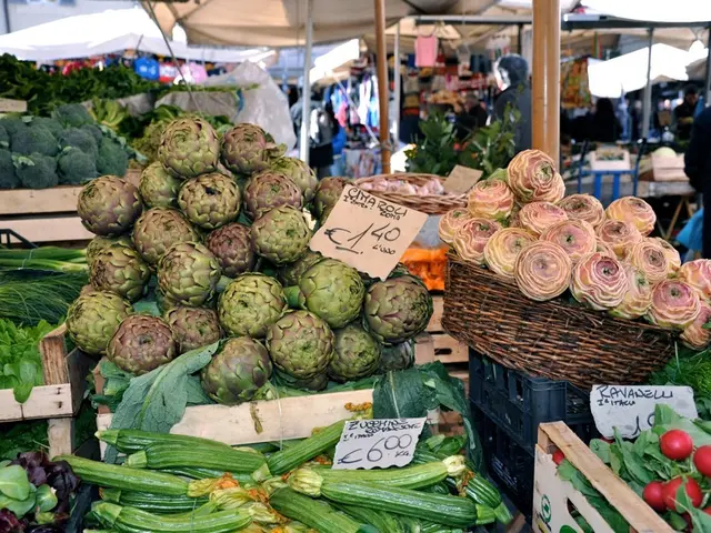 Eco-Friendly Suggestions for International Picnic Day: Strategies that Foster Harmonious...