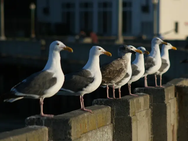 Expanded birdhouse count intended for wildlife conservation: 600 units added.