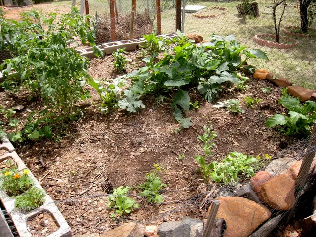 Guide to Optimal Soil Composition for Plant Growth: Perfectly Balanced Nutrient Mix from Nature