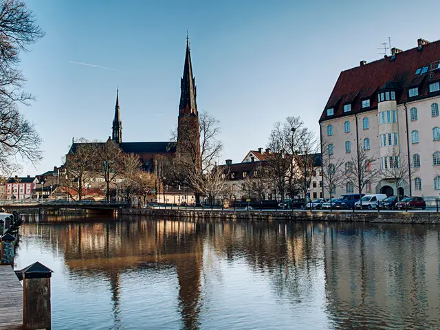 Comparing Steel and Wood: Determining the Ideal Choice for Your Outdoor Deck Construction