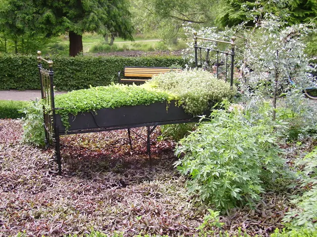 Must-See Vertical Gardens: 10 Captivating Creepers for Your Envy