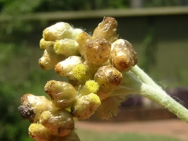 Discovered an Enjoyable Gardening Aid Priced at $30