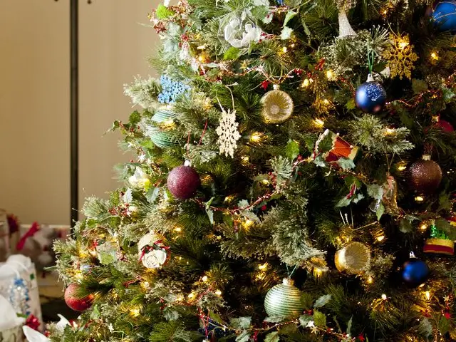 Corporate Gifting: A Comprehensive Business Strategy for Eco-friendly and Ethical Presentations