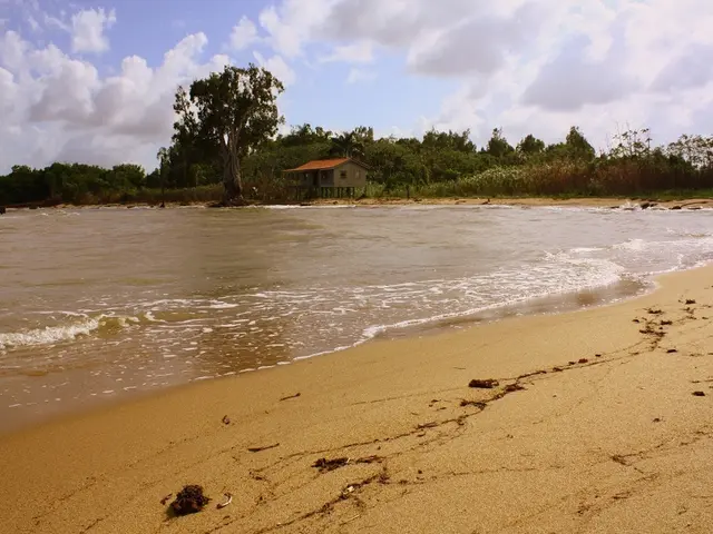 Nigel Dunnett set for 2025 RHS Chelsea Flower Show comeback, featuring stunning sand dune garden
