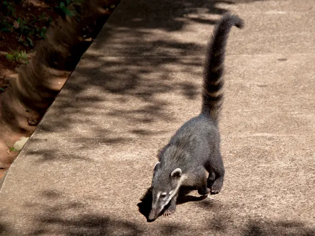 "Frequent Errors in Nurseries and Ways to Prevent Them"