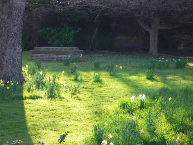 Winter Garden Tasks: Sissinghurst's Head Gardener Details Seasonal Chores for the Yard