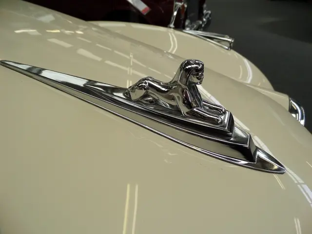 Car Affection doesn't stem from advanced technology, but rather from the well-thought-out cup...