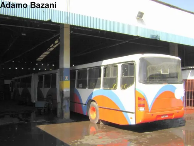 Table champion for Freisinger 2024 guarantees: "No one will be left in the cold and rain"