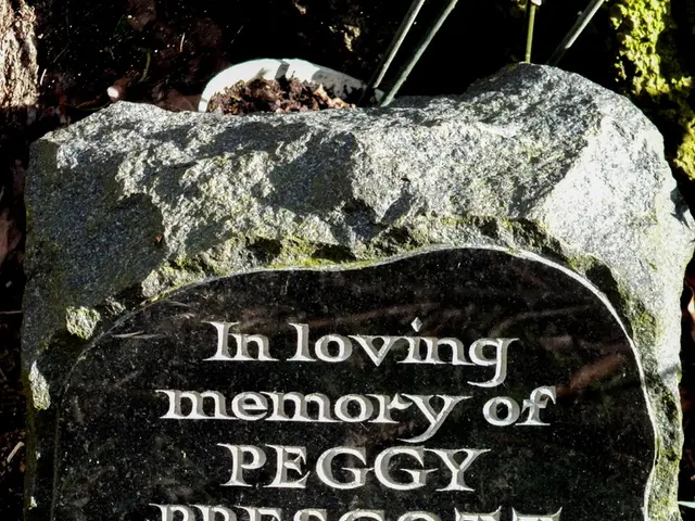 Gardening Tips Revealed: Uncover the Ideal Blend for Your Plants' Growth Success