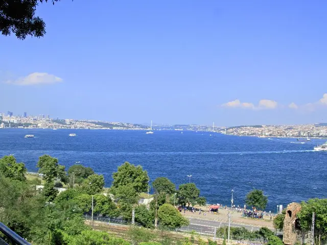 Exploring the seaside in Britain bears distinct differences