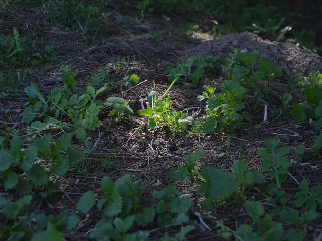 Achieving the Perfect Balance: Combining Green and Brown Compost Materials for Optimal Garden...