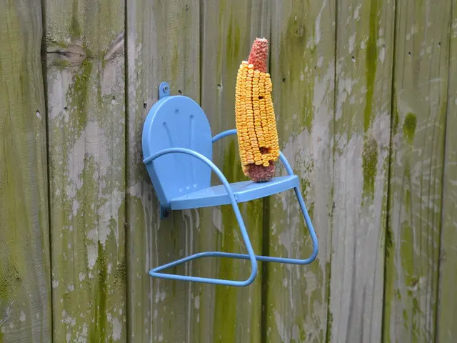 A Stunning Corn Labyrinth Located in Hesse