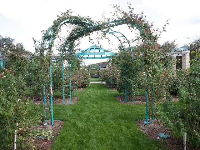 Transform Your Outdoor Area with These Container Planting Concepts