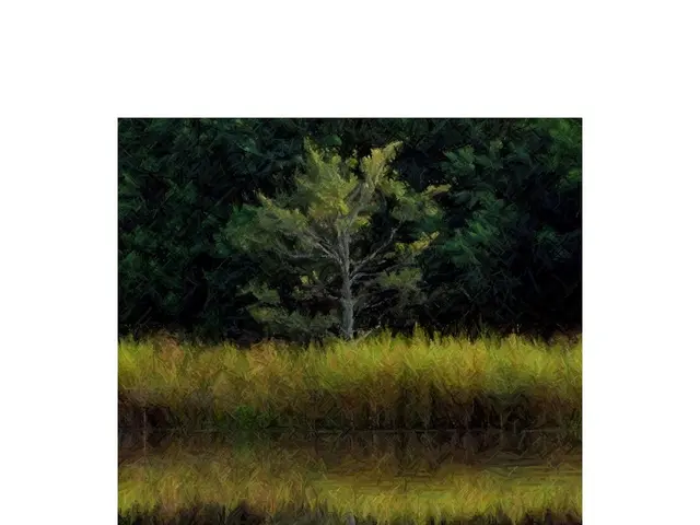 Layers of a Food-Producing Woodland Ecosystem