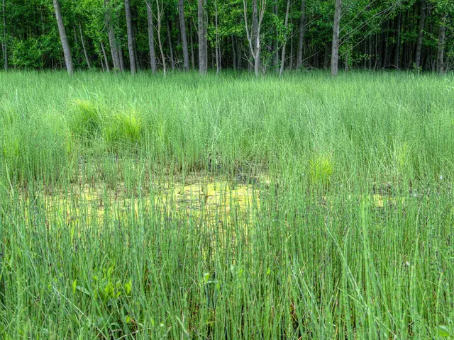 Farming Methods Striving for Carbon-Free Balance through Permaculture