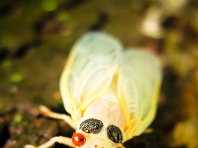 Soil Invasions: Identifying Those Unexpected White Specimens in Your Plant's Roots