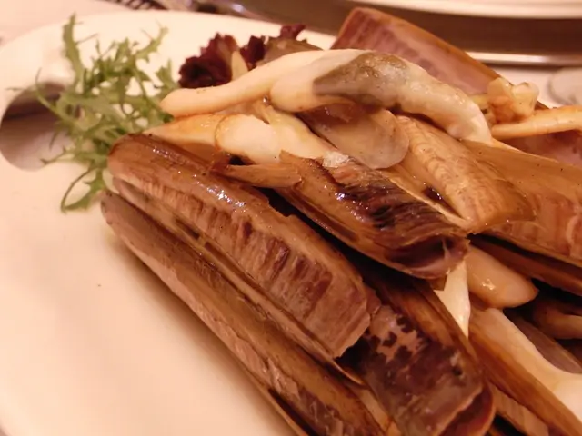 Radish Planting Timeline in Texas: A Seasonal Handbook for Garden Enthusiasts