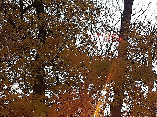 Crafting the Sun in Little Alchemy: Techniques for Creating Solar Energy