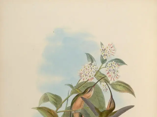 Embroidered Aviary: Artistic Expression by Deborah Campbell featuring Birds on Coastal Landscapes