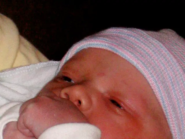 TopPicks: Exceptional Shampoos Suited for Infant Hair Care