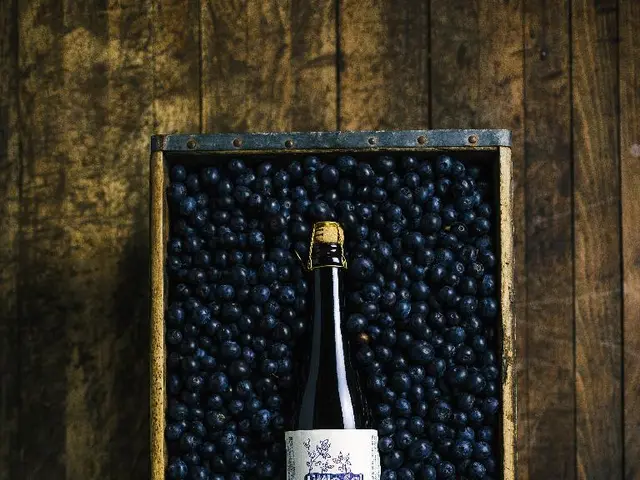 Pea-Based Meringue Alternative: Chick Pea Foam Production Techniques Revealed