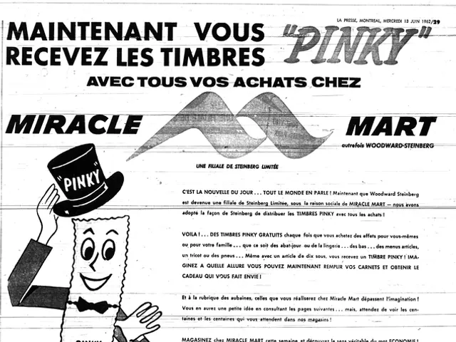 The Importance of Presenting a Professional Image in Business, Rather Than a Casual, Hobbyist...