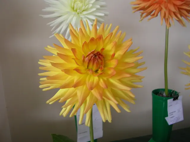 Create a DIY Flower Pot Decoration Using a Sharpie Marker in Three Straightforward Stages!