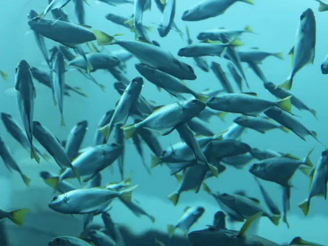 Removing Large Carnivores from the Irtysh River by The Omics