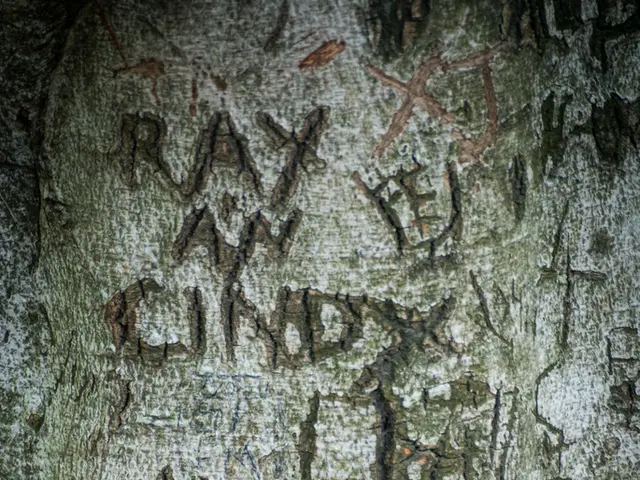 Safeguarding Tourers in a Caravan: Strategies for Ensuring Security