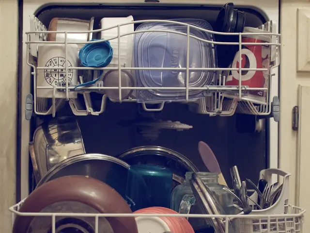 A grill from an oven can serve as a substitute for numerous lesser-known kitchen appliances.