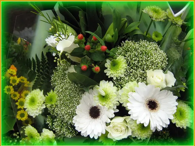 Quick Guide on Affordable Flower Gifting