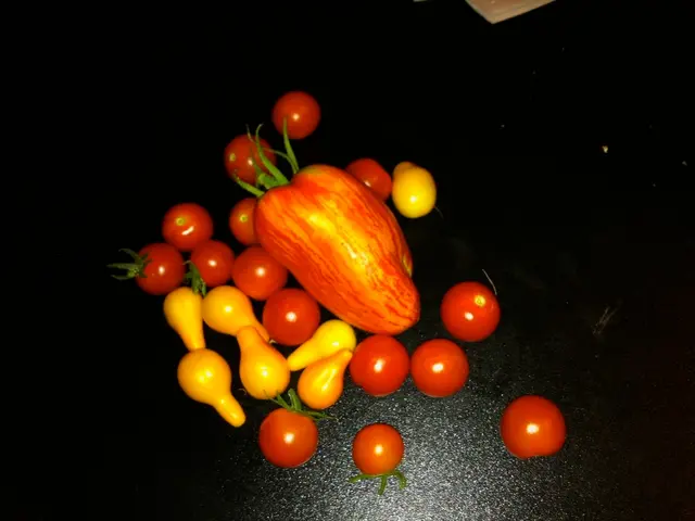 Hazardous humidity affecting garden fruit in August: Strategies for prevention